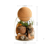 Woodland Pinecone Glass Jar Set - Eveléa Studio dried flower arrangement