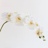 European-Style Butterfly Orchid - Eveléa Studio faux flower