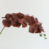 European-Style Butterfly Orchid - Eveléa Studio faux flower