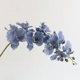 European-Style Butterfly Orchid - Eveléa Studio faux flower