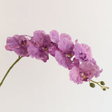 European-Style Butterfly Orchid - Eveléa Studio faux flower