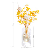 Baby's Breath Glass Bottle Set - Eveléa Studio dried flower arrangement