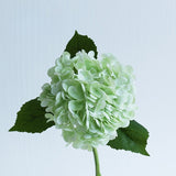 Large Hydrangea Stem - Eveléa Studio faux flower