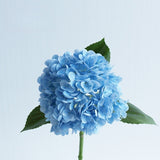 Large Hydrangea Stem - Eveléa Studio faux flower
