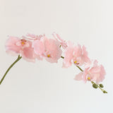 European-Style Butterfly Orchid - Eveléa Studio faux flower