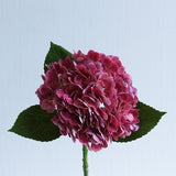 Large Hydrangea Stem - Eveléa Studio faux flower