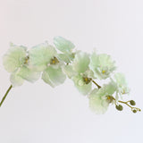 European-Style Butterfly Orchid - Eveléa Studio faux flower