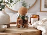 Woodland Pinecone Glass Jar Set - Eveléa Studio dried flower arrangement