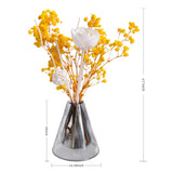 Baby's Breath Glass Vase Set - Eveléa Studio dried flower arrangement