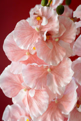 European-Style Butterfly Orchid - Eveléa Studio faux flower