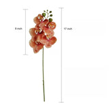 5-Head Butterfly Orchid - Eveléa Studio faux flower