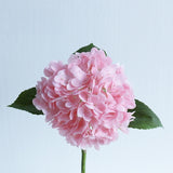 Large Hydrangea Stem - Eveléa Studio faux flower