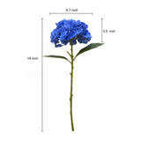Size guide: 19 inch hydrangea stem with a 6.7 inch wide, 3.5 inch tall bloom