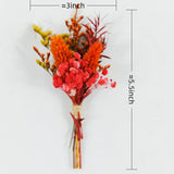 Rainbow Wishes Mini Bouquets - Eveléa Studio dried flower