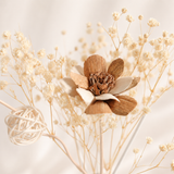 Ivory Pinecone Glass Vase Set - Eveléa Studio dried flower arrangement