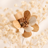 Ivory Pinecone Glass Vase Set - Eveléa Studio dried flower arrangement