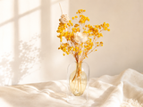 Baby's Breath Glass Bottle Set - Eveléa Studio dried flower arrangement