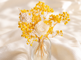 Baby's Breath Glass Bottle Set - Eveléa Studio dried flower arrangement