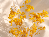 Baby's Breath Glass Bottle Set - Eveléa Studio dried flower arrangement