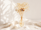 Ivory Pinecone Glass Bottle Set - Eveléa Studio dried flower arrangement