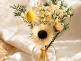 Cream Sunflower Glass Bottle Set - Eveléa Studio dried flower arrangement
