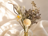 Ivory Whisper Glass Bottle Set - Eveléa Studio dried flower arrangement