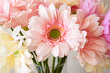 Handmade Gerbera Daisy Stem - Eveléa Studio faux flower