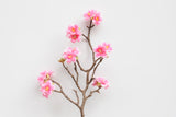 Realistic Cherry Blossom Branch - Eveléa Studio faux flower