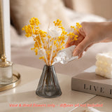 Baby's Breath Glass Vase Set - Eveléa Studio dried flower arrangement