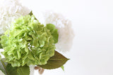 Large Hydrangea Stem - Eveléa Studio faux flower