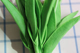 Mini Tulip Stem - Eveléa Studio faux flower