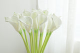 White calla lily blooms with furled petals and bright green stems