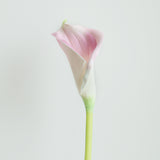 Calla Lily - Eveléa Studio faux flower