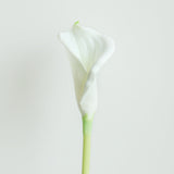 Calla Lily - Eveléa Studio faux flower