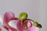 9-Head Butterfly Orchid - Eveléa Studio faux flower