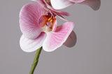 9-Head Butterfly Orchid - Eveléa Studio faux flower