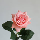 Real Touch Rose - Eveléa Studio faux flower