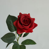 Real Touch Rose - Eveléa Studio faux flower