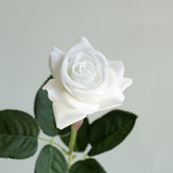 Real Touch Rose - Eveléa Studio faux flower