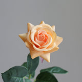 Real Touch Rose - Eveléa Studio faux flower