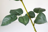 Vintage Rose Stem - Eveléa Studio faux flower