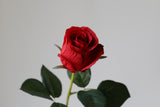 Vintage Rose Stem - Eveléa Studio faux flower