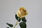 Vintage Rose Stem - Eveléa Studio faux flower