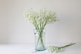 Faux Baby's Breath Stem - Eveléa Studio faux flower