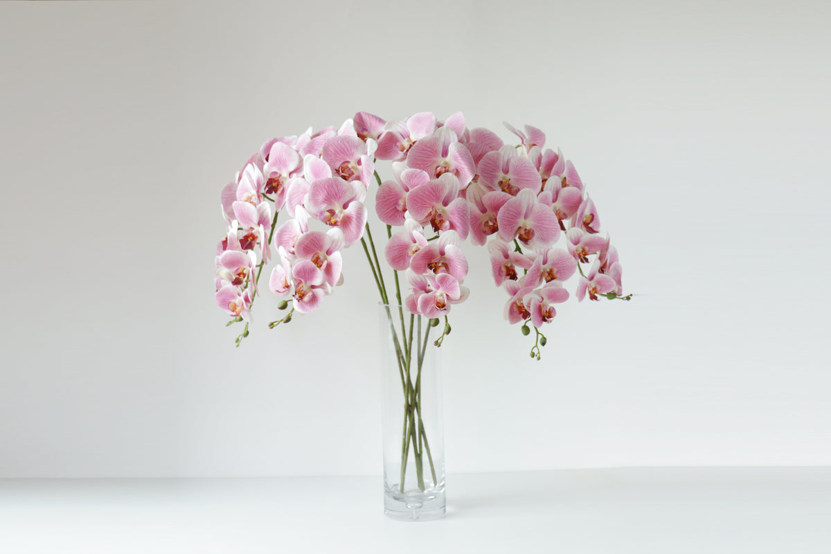 9-head pink butterfly orchid stems fanning from a tall clear glass vase