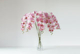 9-head pink butterfly orchid stems fanning from a tall clear glass vase