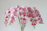 9-Head Butterfly Orchid - Eveléa Studio faux flower
