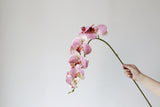 9-Head Butterfly Orchid - Eveléa Studio faux flower