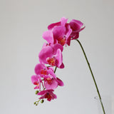 9-Head Butterfly Orchid - Eveléa Studio faux flower