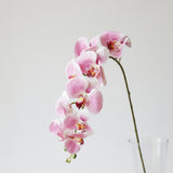 9-Head Butterfly Orchid - Eveléa Studio faux flower